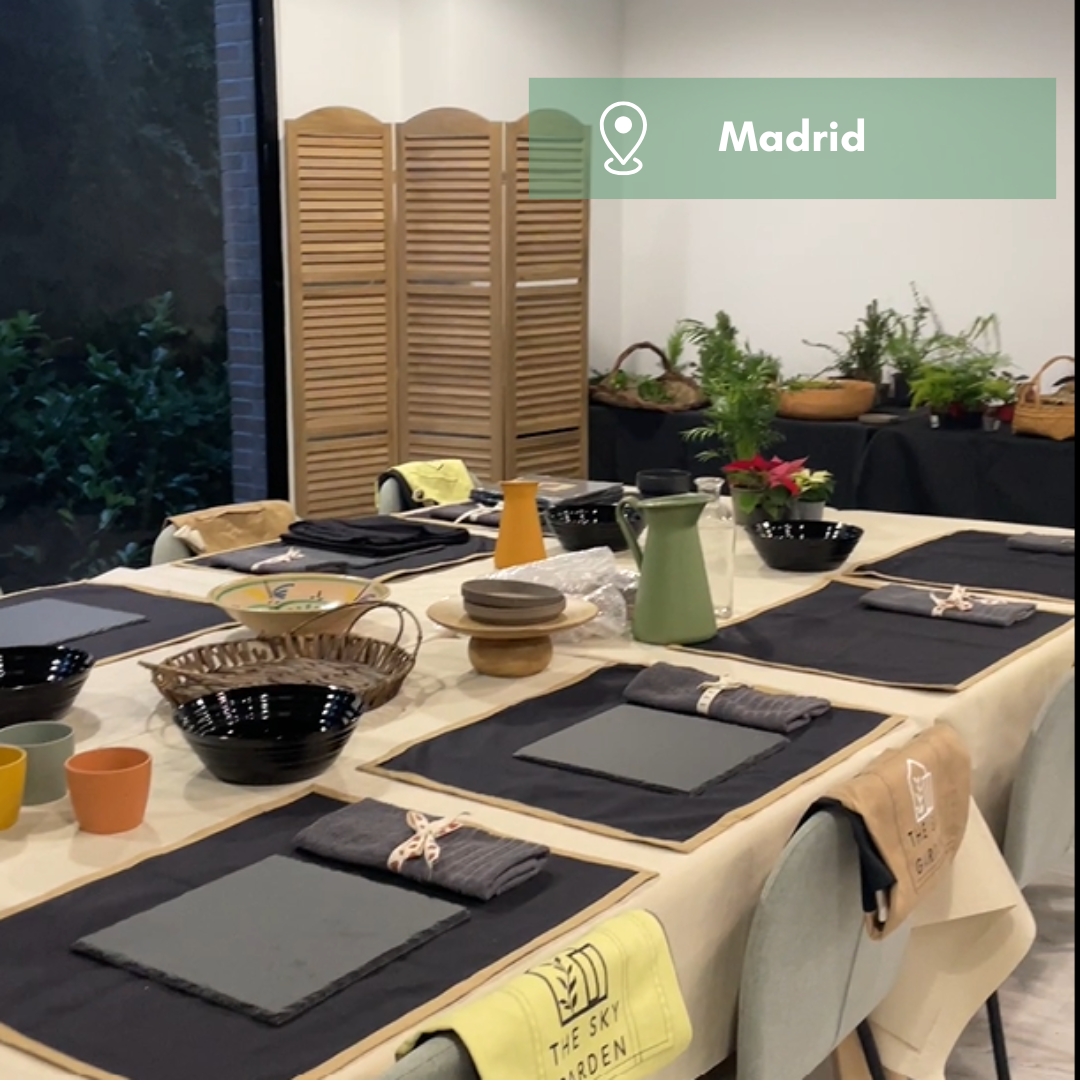 Experiencia taller Mini Jardín
