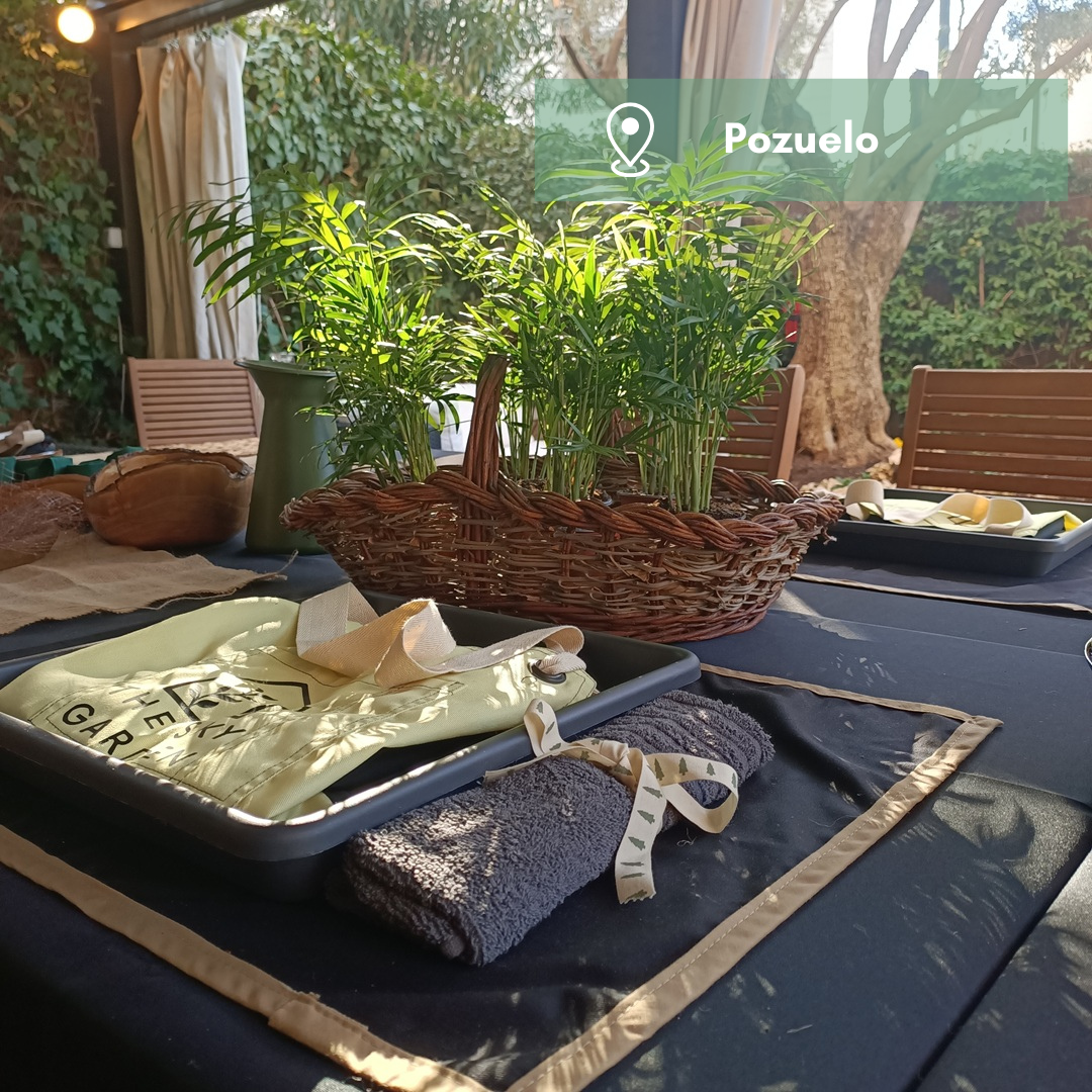 Experiencia taller Mini Jardín
