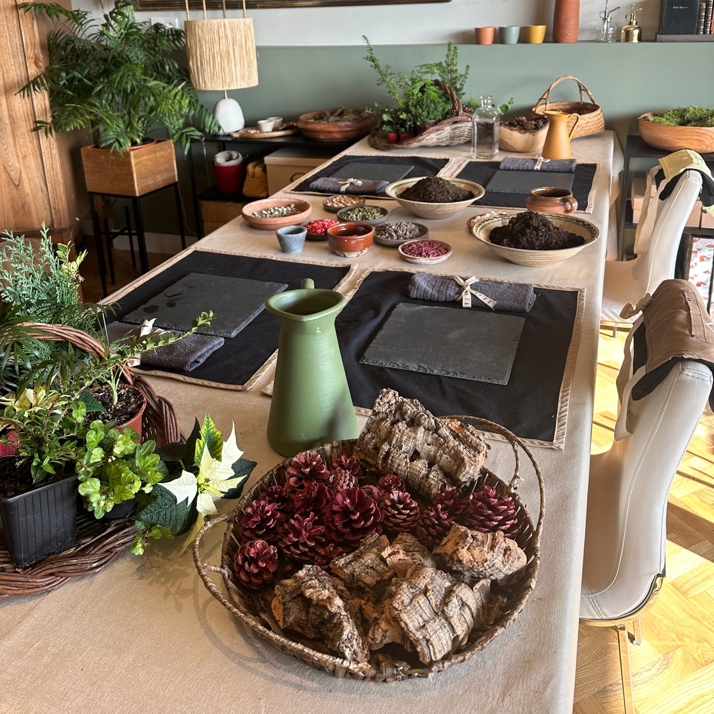 Taller botánico en casa