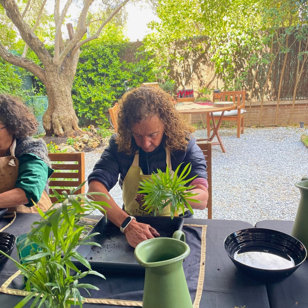 Experiencia Taller Kokedama (Grupos)
