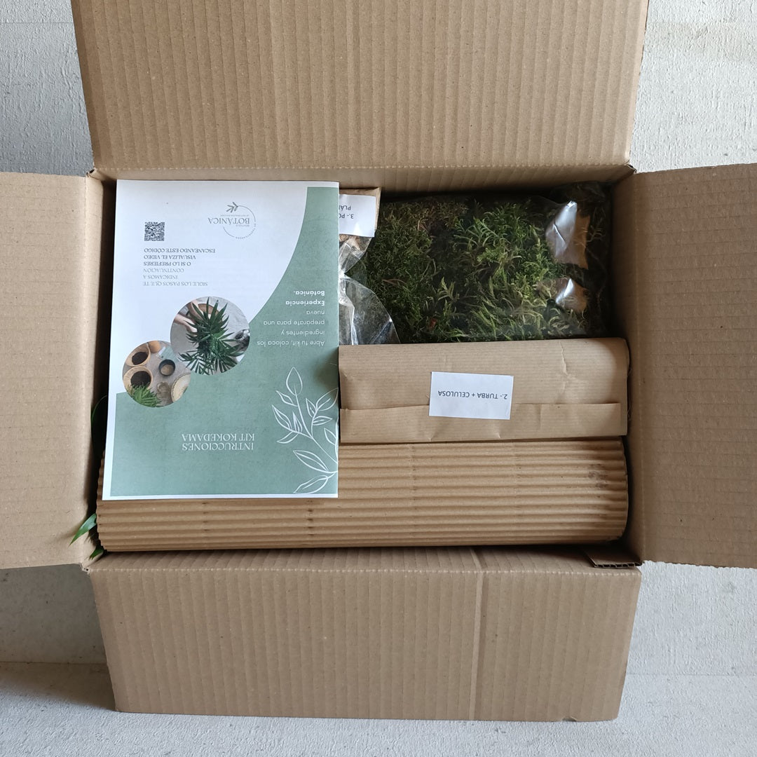 Kit Kokedama DIY