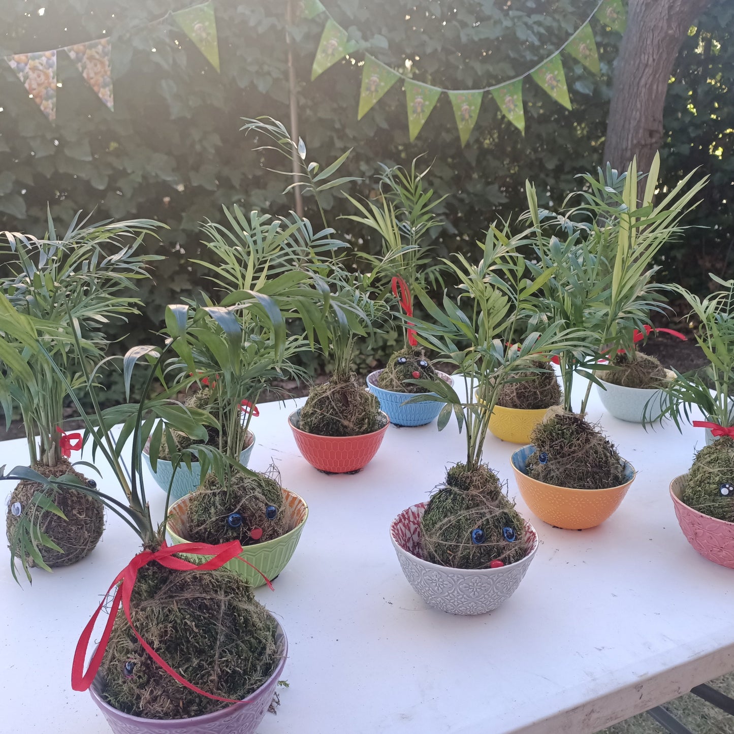 Taller botánico en casa