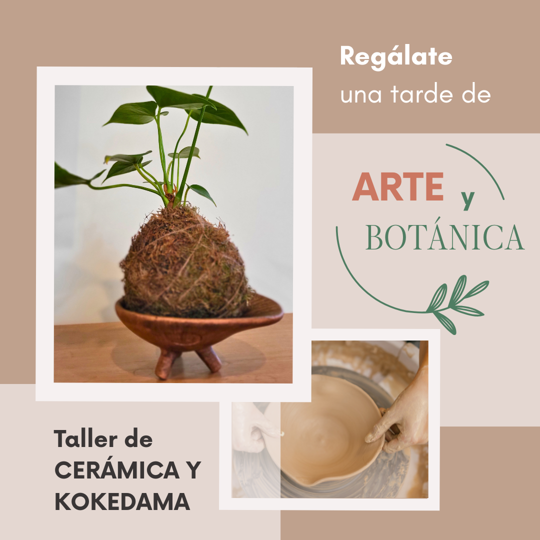 Doble experiencia: CERÁMICA y KOKEDAMA