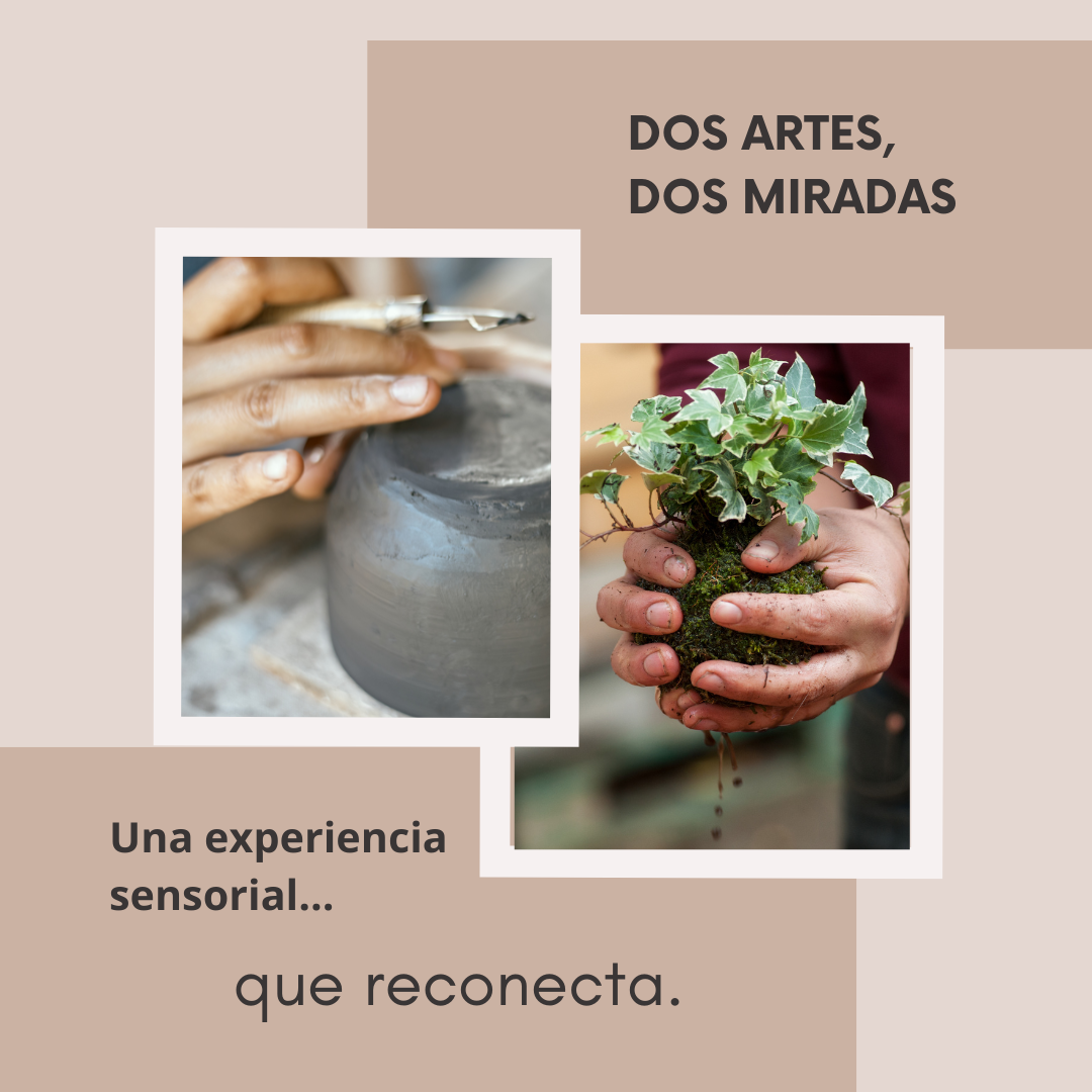 Doble experiencia: CERÁMICA y KOKEDAMA