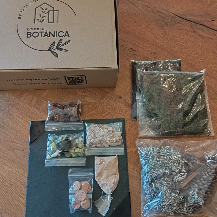 Kit Minijardín DIY