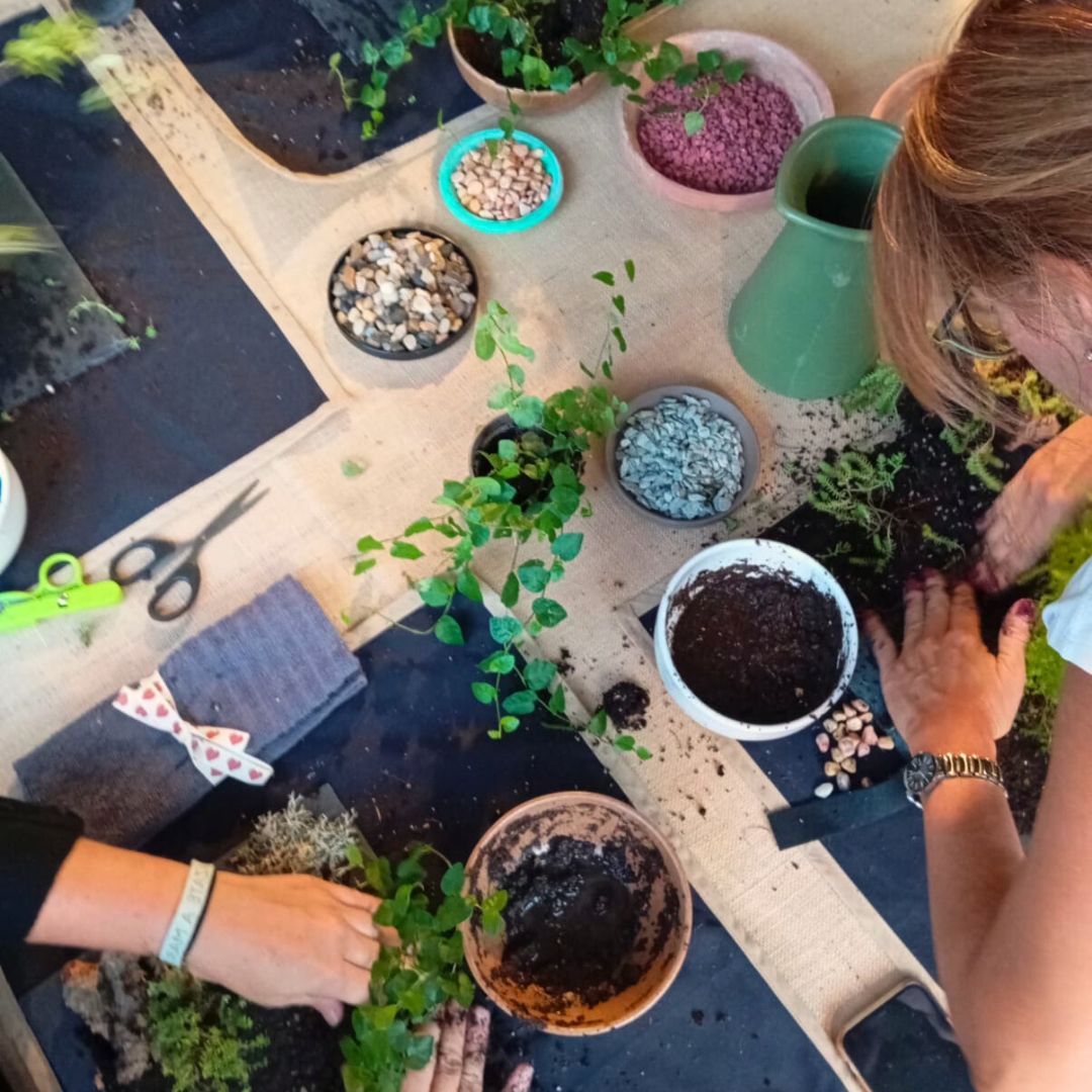 Experiencia taller Mini Jardín