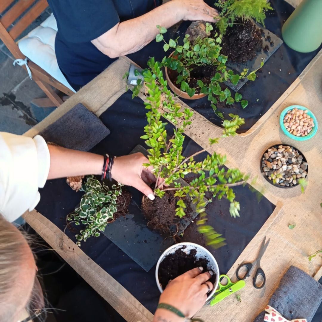 Experiencia taller Mini Jardín