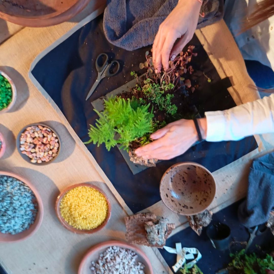 Experiencia taller Mini Jardín