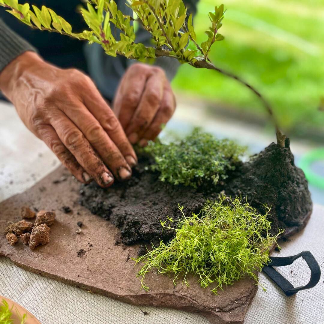 Experiencia taller Mini Jardín