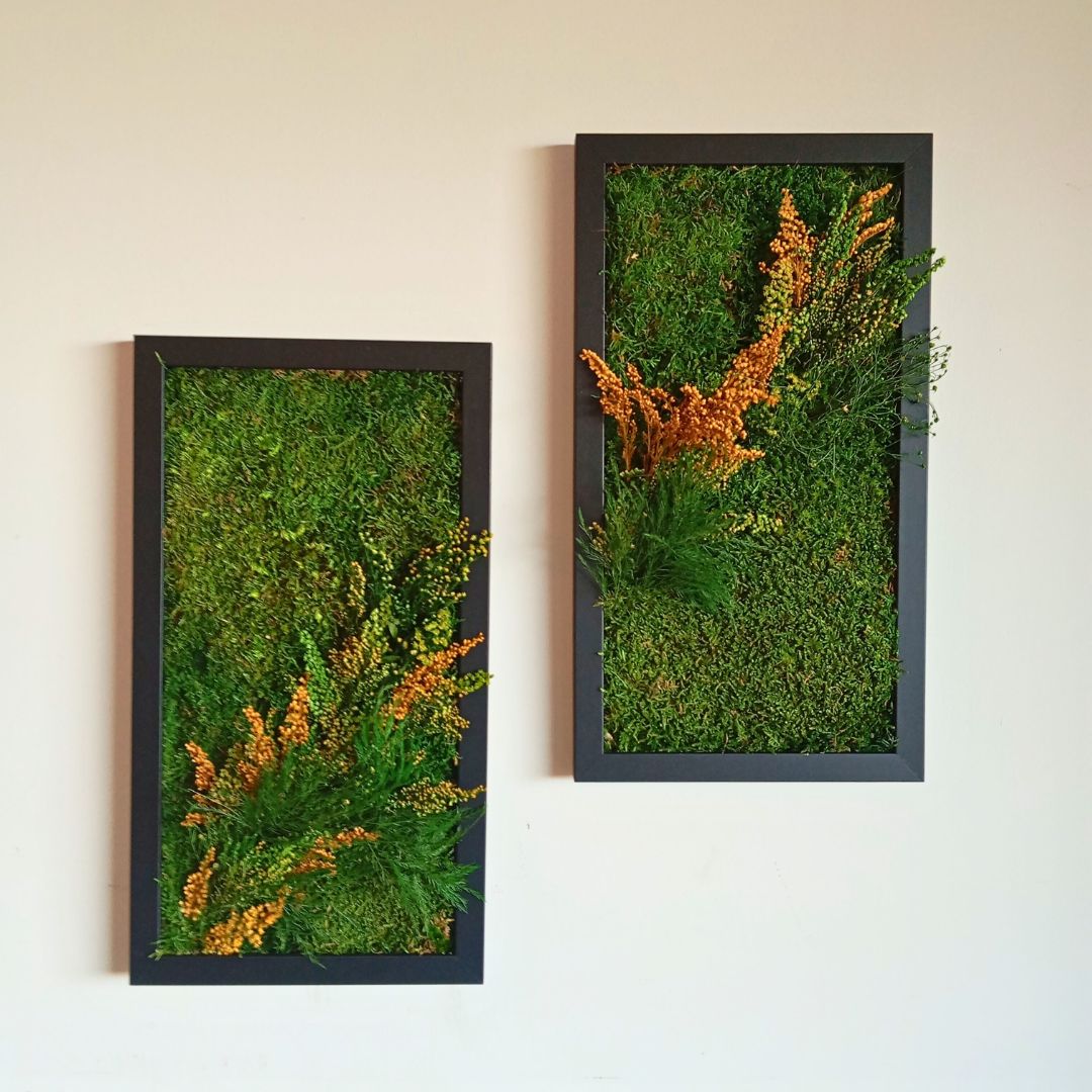 Cuadro vegetal preservado