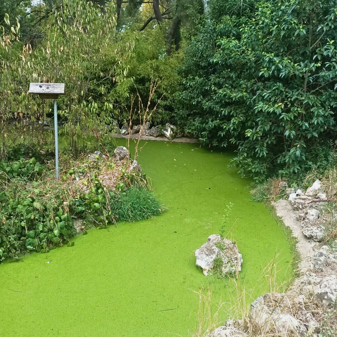 Exploración Botánica