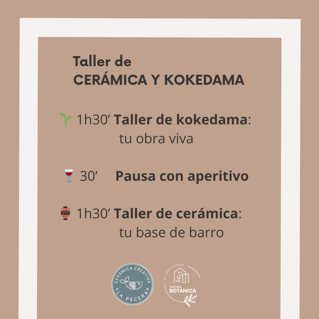 Doble experiencia: CERÁMICA y KOKEDAMA