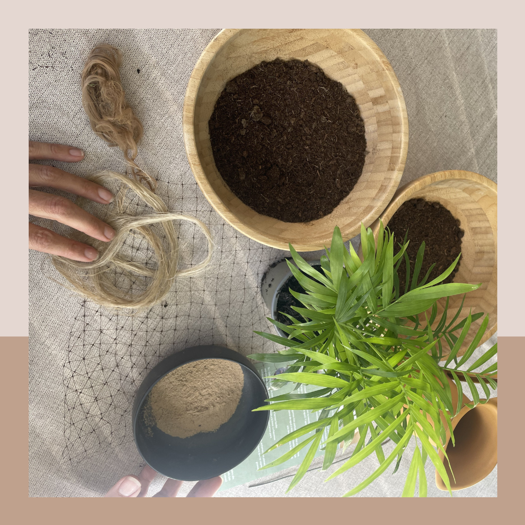 Doble experiencia: CERÁMICA y KOKEDAMA