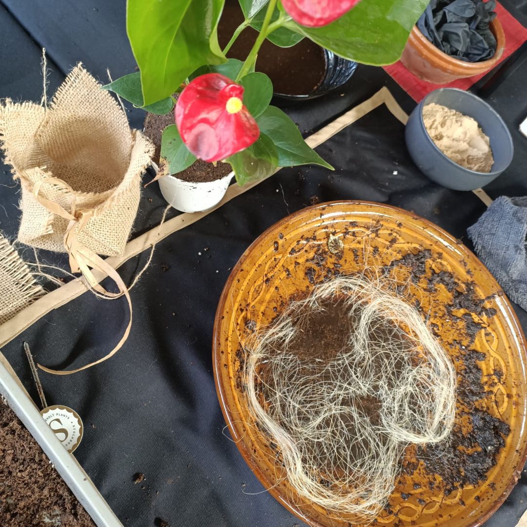 Experiencia taller Mini Jardín