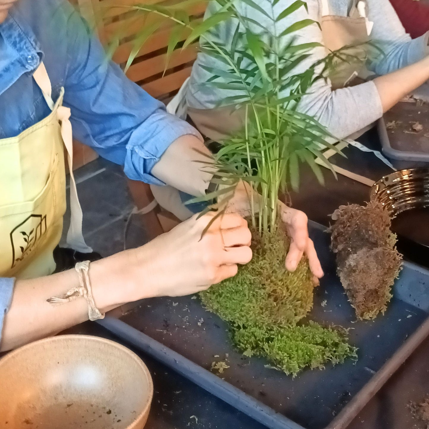 Experiencia Taller Kokedama (Grupos)