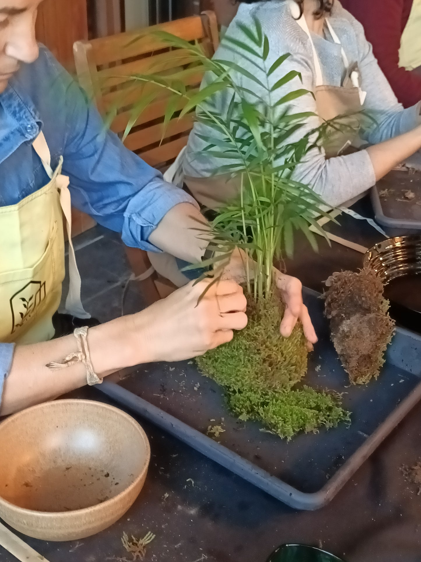 Experiencia Taller Kokedama (Grupos)