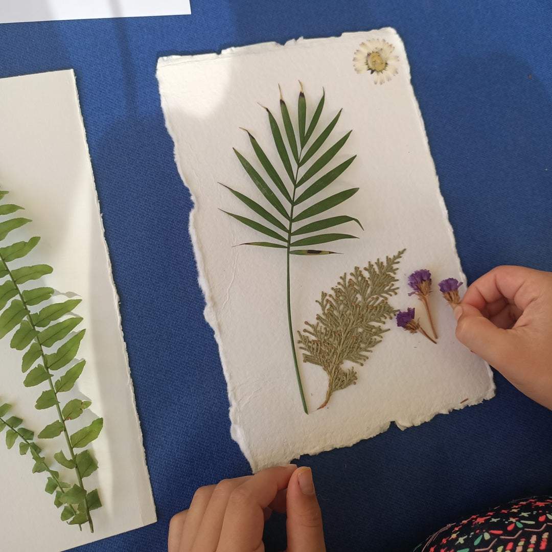 Taller Cianotipia 31 mayo