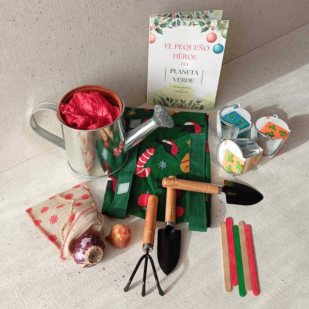 Mini Invernadero infantil