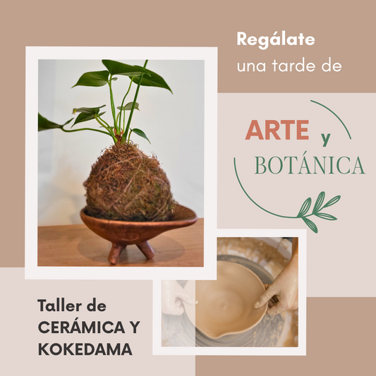 Doble experiencia: CERÁMICA y KOKEDAMA