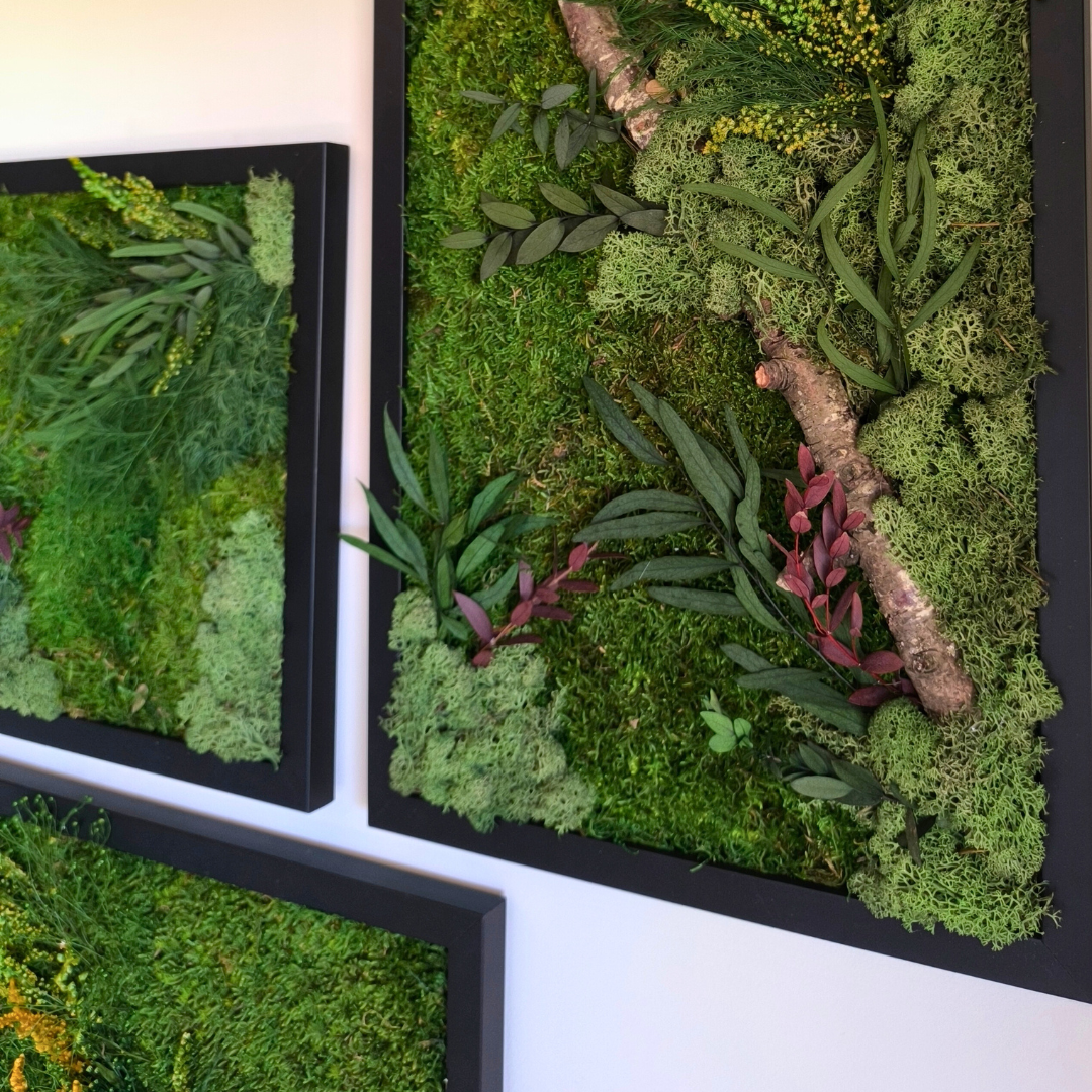 Cuadro vegetal preservado