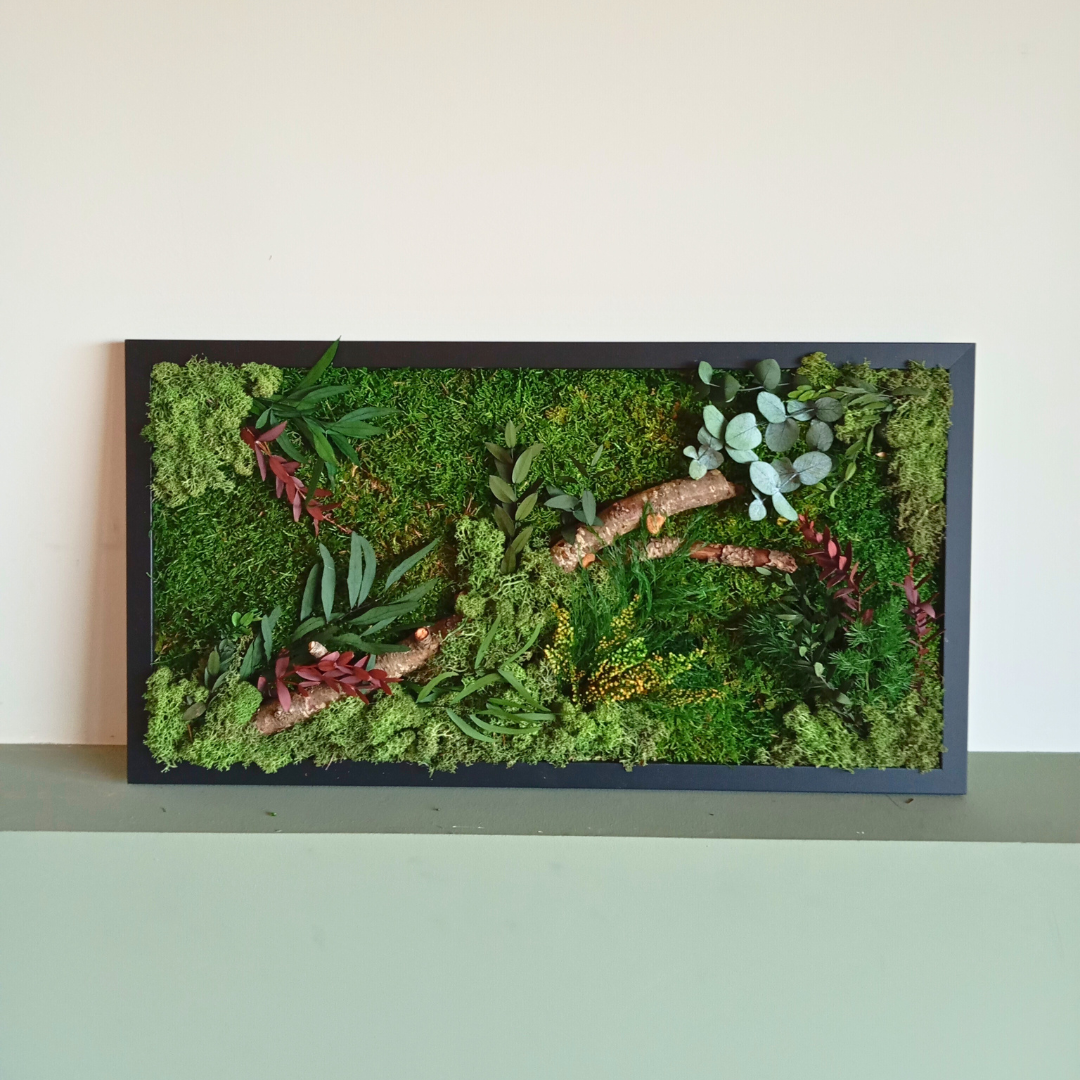 Cuadro vegetal preservado
