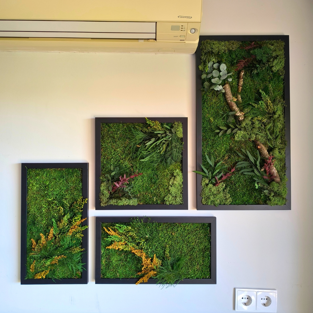 Cuadro vegetal preservado