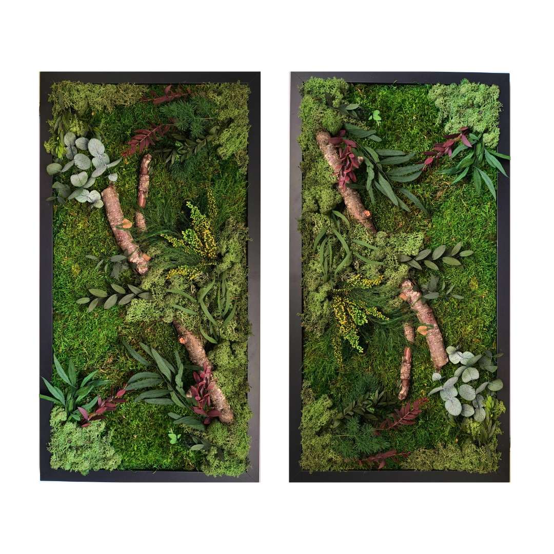 Cuadro vegetal preservado