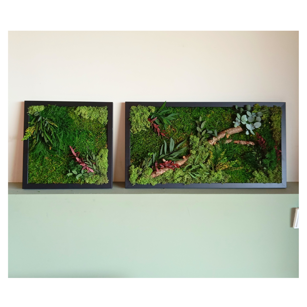 Cuadro vegetal preservado