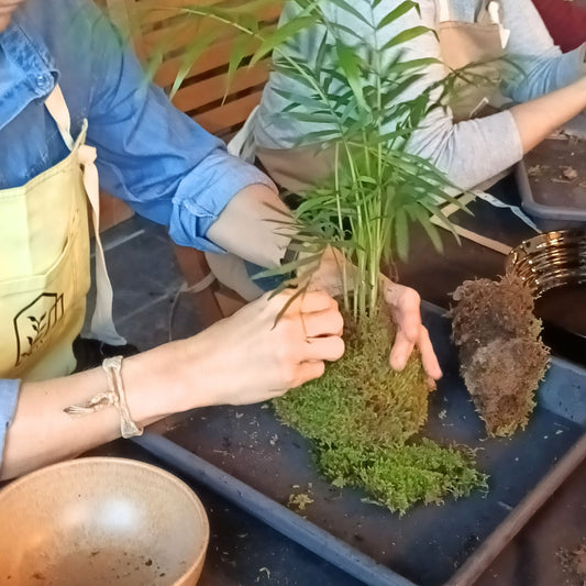 Experiencia Taller Kokedama